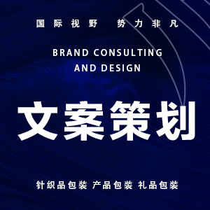 服务展示 品牌策划的全景式解决方案